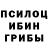 Галлюциногенные грибы Psilocybine cubensis Adrian Horning