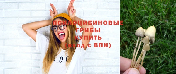 гидропоника Белоозёрский