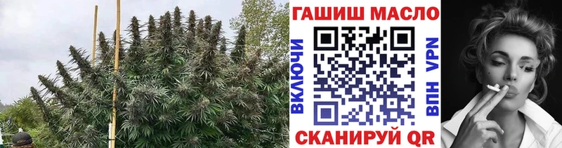ТГК гашишное масло Енисейск